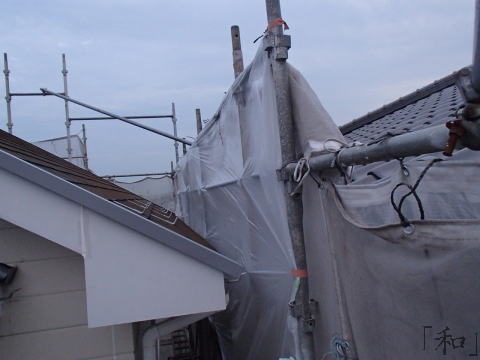 colorbest13